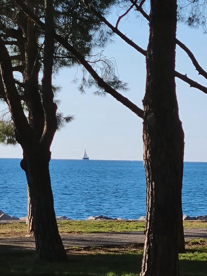 Medium Miramare Appartamento Sogno Sul Mare Trieste Extérieur photo